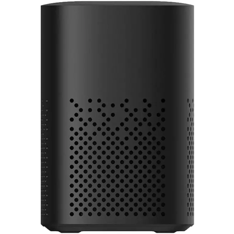 Altavoz Xiaomi Smart Speaker Lite Bluetooth 5.1 Wi-Fi