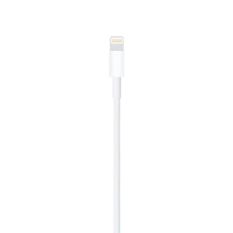 Cable USB Apple Lightning a USB 2.0 1m