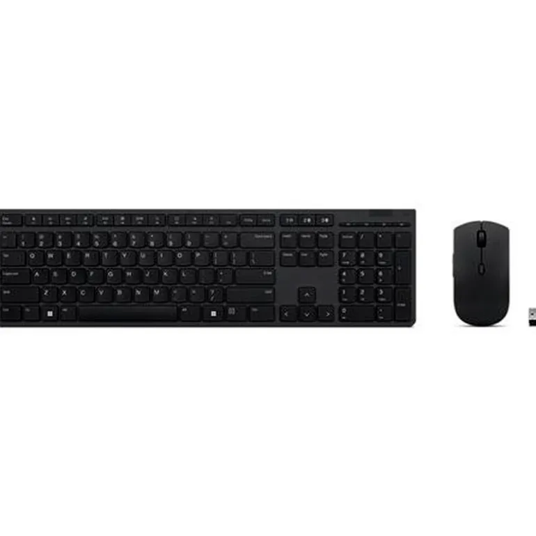 Combo Teclado/Ratón Lenovo Profesional Wireless Negro