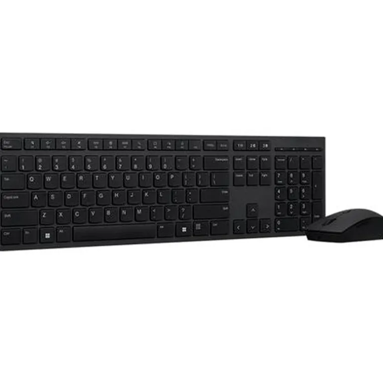 Combo Teclado/Ratón Lenovo Profesional Wireless Negro