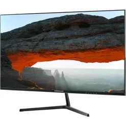 Monitor Medion Akoya P52424 24