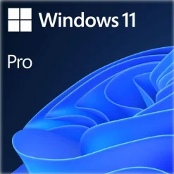 Software Microsoft Windows 11 Pro 64 Bits Ingles DSP DVD OEM