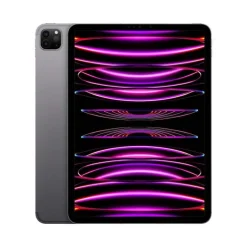 Tablet Apple iPad Pro 2022 11" M2 8GB 256GB Wi-Fi + Cellular Gris Espacial