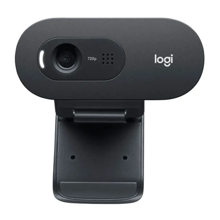 Webcam Logitech C505e Business HD